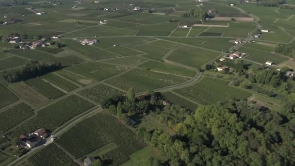 Luchtfoto van de wijngaard Pomerol — Stockvideo