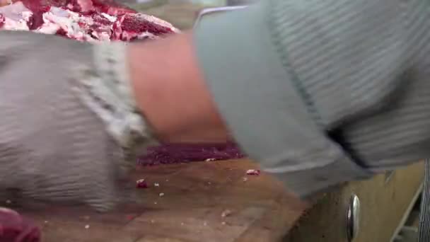 Schneiden Sie ein Stück Steak — Stockvideo