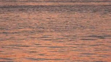 Gün batımını Garonne Nehri su