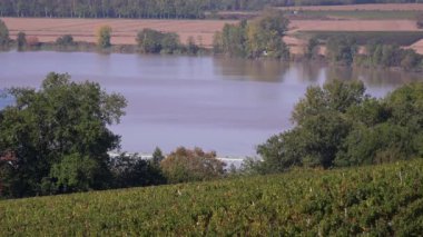 Bağ hills Garonne kıyısında
