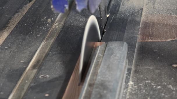 Coupe du bois à l'aide d'une scie circulaire 