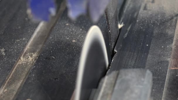 Coupe du bois à l'aide d'une scie circulaire 