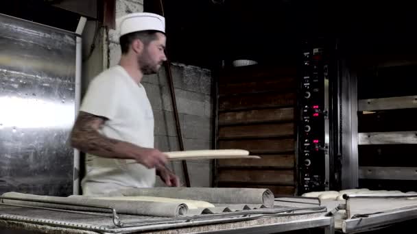 Aplicación de los palitos de pan en el horno de la alfombra — Vídeos de Stock