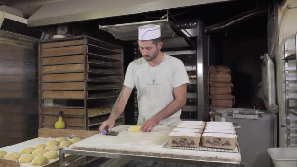 Braiding brioche dough portions — Stock Video