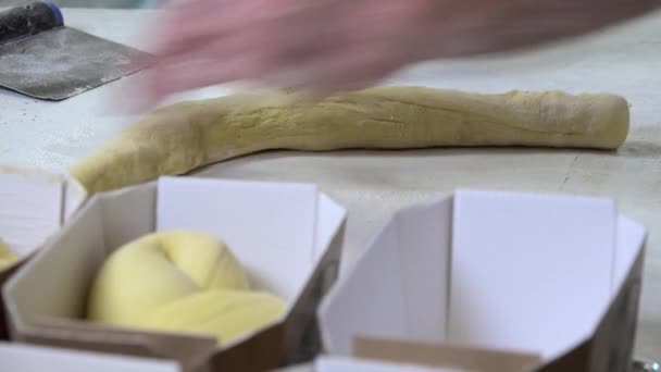 Trenzando porciones de masa brioche — Vídeos de Stock