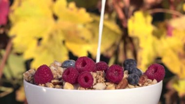 kırmızı meyve ve müsli süt döktü