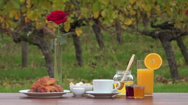 Fransk frukost på vingårdar bakgrund, — Stockvideo