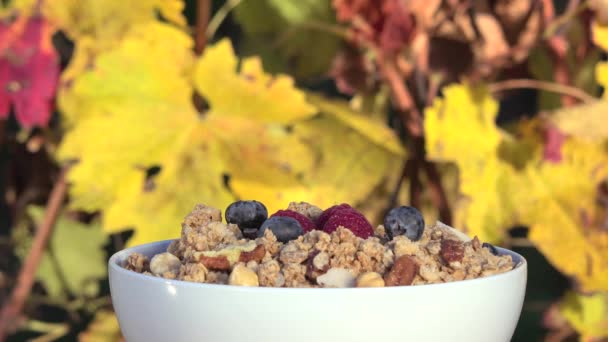 Hällde röda frukter på müsli — Stockvideo