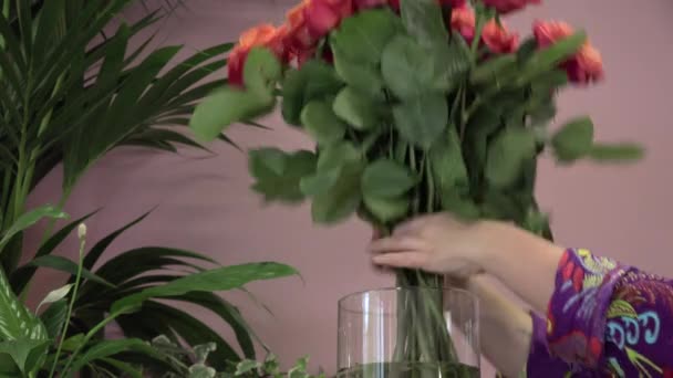 Een bloemist produceert een boeket rozen — Stockvideo