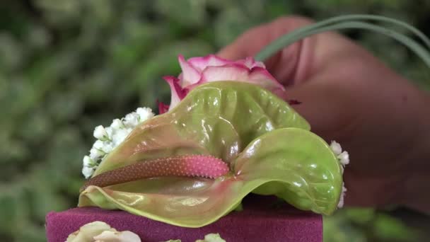 Creëren van een bloemstuk gevormd als een cake — Stockvideo