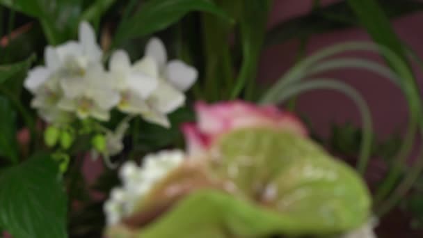 Creating a flower arrangement shaped as a cake — Stock Video