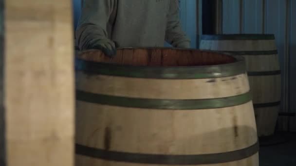 Manufacturing wine barrels — Stock Video