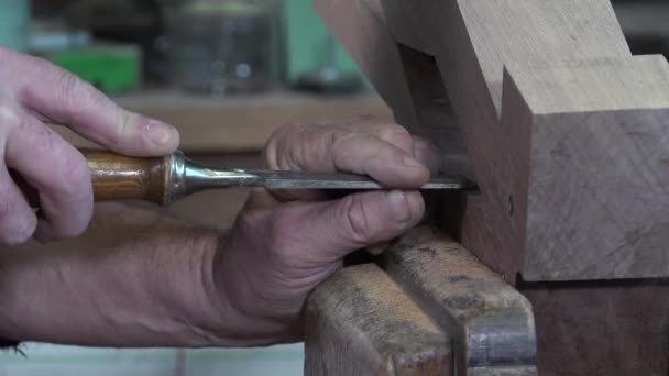 Carpintero trabajando en su taller — Vídeos de Stock