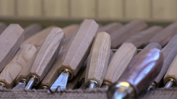 Carpenter working in his workshop — Stock Video