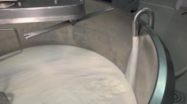 Gouda peyniri çiğ sütten yapma