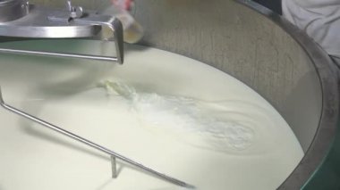 Gouda peyniri çiğ sütten yapma