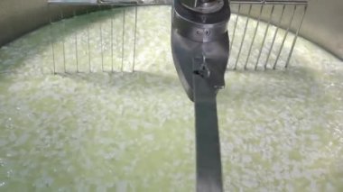 Gouda peyniri çiğ sütten yapma