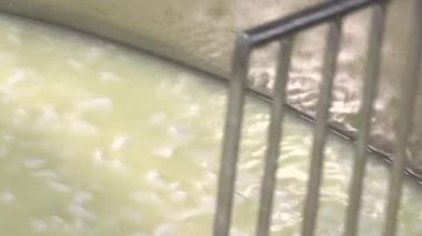 Gouda peyniri çiğ sütten yapma