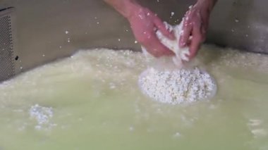 Gouda peyniri çiğ sütten yapma