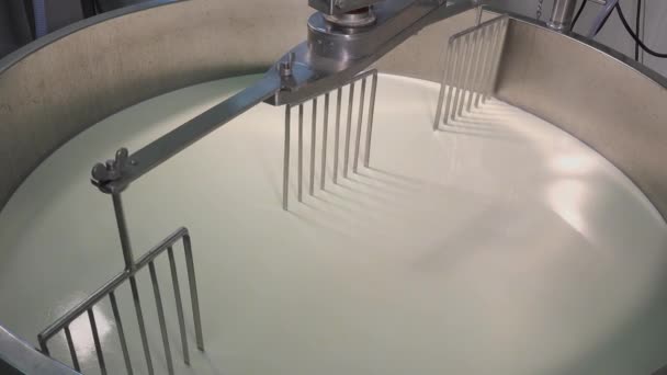 高达干酪制取原料奶 — 图库视频影像