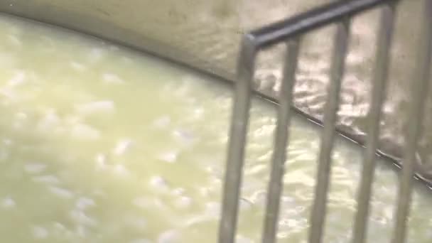 Queijo Gouda fabricado a partir de leite cru — Vídeo de Stock