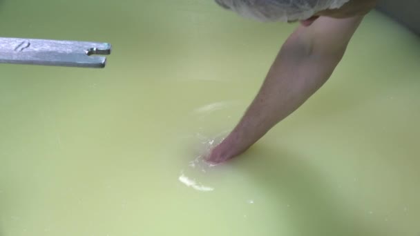 Сыр гауда из сырого молока — стоковое видео
