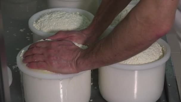 Goudse kaas maken van rauwe melk — Stockvideo