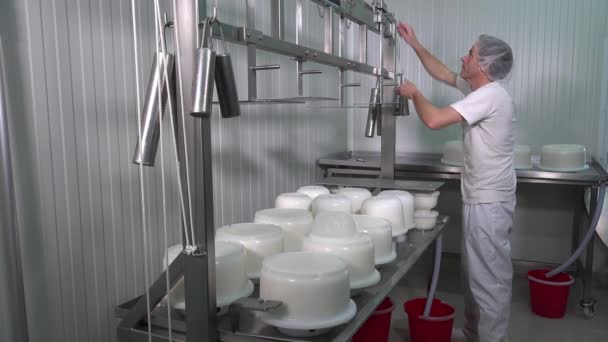 Queijo Gouda fabricado a partir de leite cru — Vídeo de Stock