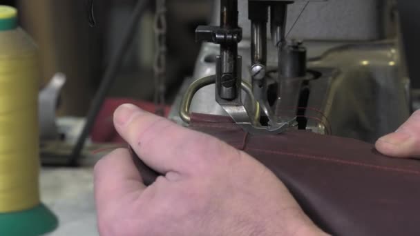 Leather goods craftsman at work in his workshop — Stock Video