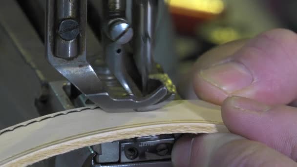 Läder varor hantverkare på jobbet i sin verkstad — Stockvideo