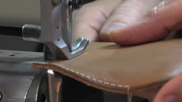 Trunk Maker al lavoro nel suo laboratorio — Video Stock