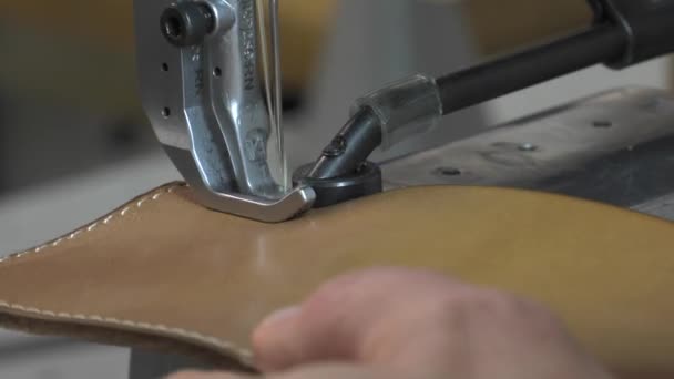 Kofferbak Maker op het werk in zijn werkplaats — Stockvideo