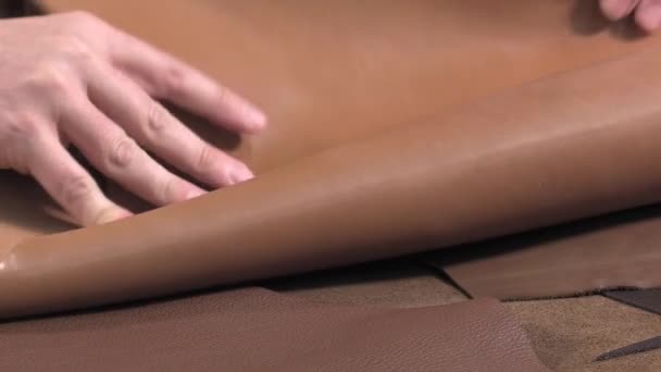 Trunk Maker au travail dans son atelier — Video