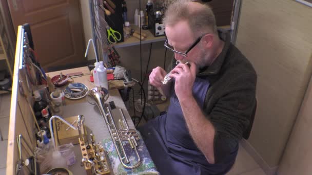 真鍮と木管楽器の修理 — ストック動画
