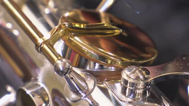 Repairer of brass and wood wind instruments — Stock Video