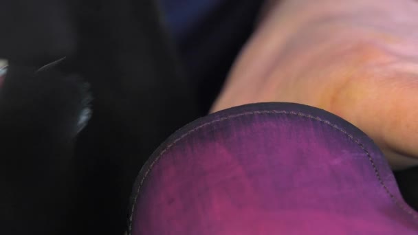 Coloration et entretien faits à la main des chaussures — Video