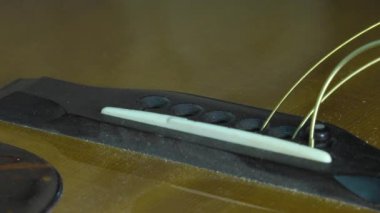 Ana luthier gitar iş başında