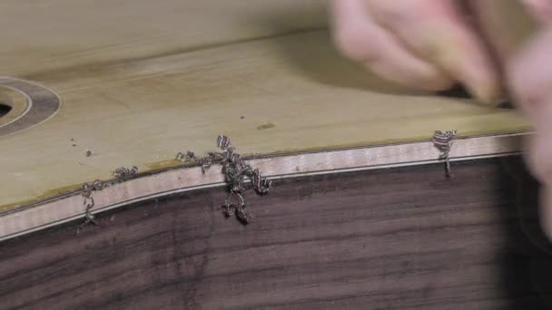 Master instrumentmakare gitarrer på jobbet — Stockvideo