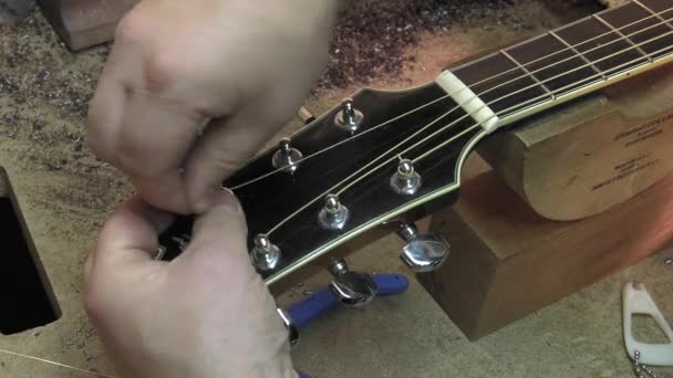 Мастер лютиевых гитар за работой — стоковое видео
