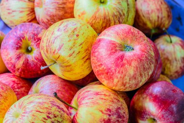 Birçok Apple üzerinde tablo, seçici odak noktası.