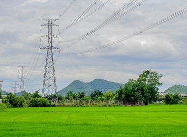 Yeşil alan, seçici odak noktası yüksek gerilim sonrası.