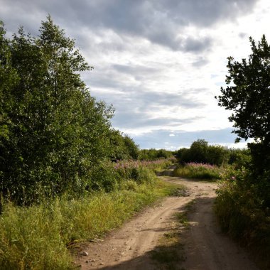 Tarlaya giden yol. Bulutlar tarlanın üzerinde toplandı. 