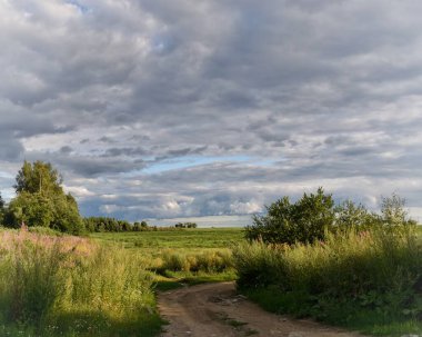 Bir yaz günü. Bulutlar tarlanın üzerinde toplandı. 