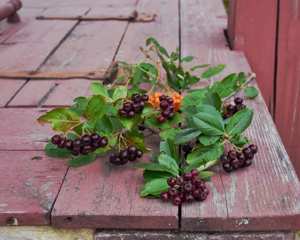 Branches Berries Mountain Ash Lying Wooden Surface —  Fotos de Stock