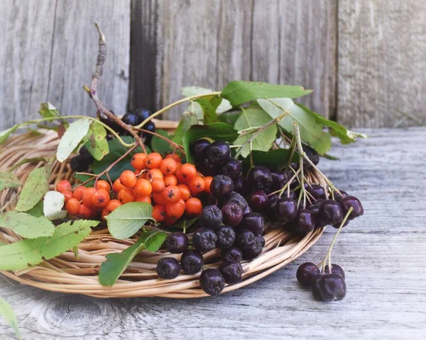 Rote Und Schwarze Vogelbeeren Liegen Auf Einem Korbständer — Stockfoto