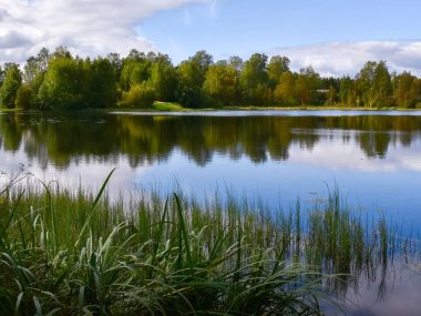 Sonbahar manzarası. Güneşli bir gün. Gökyüzü gölün suyuna yansıyor.. 