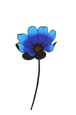 Açık taç yaprakları ve mercan pembesi çizimleri olan uzun siyah bir sapta mavi bir kozmetik çiçeği.