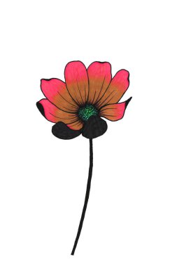 Uzun siyah bir sapta, açık taç yaprakları ve turkuaz yeşili bir merkez çizimi olan mercan-kahverengi bir kozmetik çiçeği.