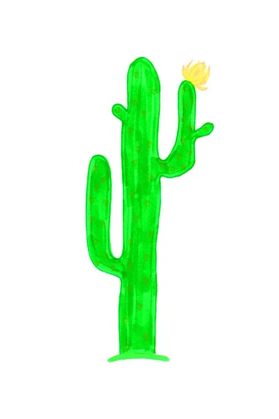 Кактус Яскраво Зеленого Кольору Декількома Гілками Жовта Квітка Білому Тлі — стокове фото