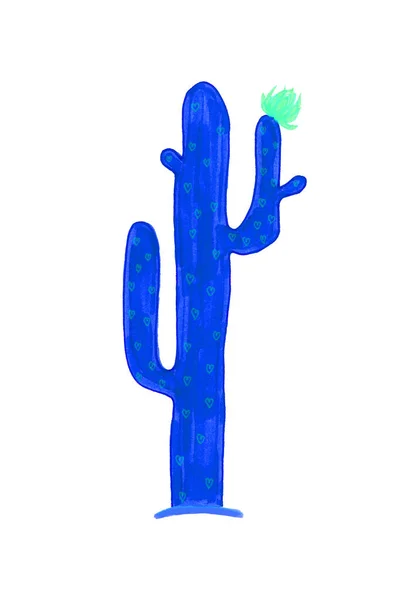 いくつかの枝と白い背景に薄緑色の花を持つ明るい青の色のサボテン — ストック写真
